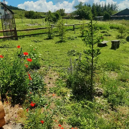 старият овчарник равногор * Asikoria